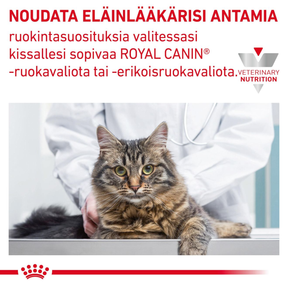 Royal Canin Veterinary Diets Derma Sensitivity Control Chicken annospussi kissan märkäruoka 12 x 85 g