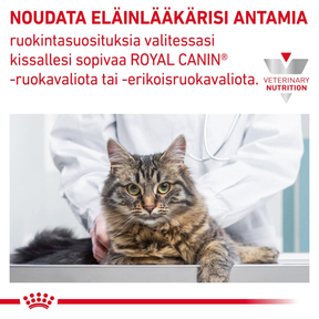 Royal Canin Veterinary Diets Derma Skin & Coat annospussi kissan märkäruoka 12 x 85 g