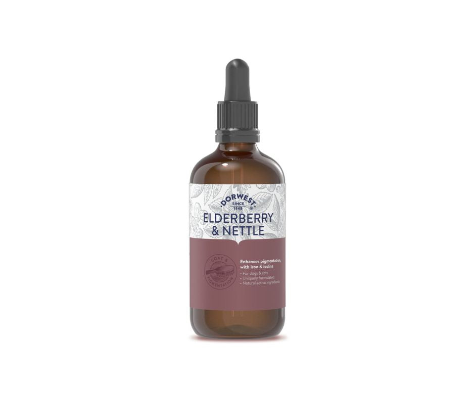 Dorwest Elderberry & Nettle Extract 100 ml