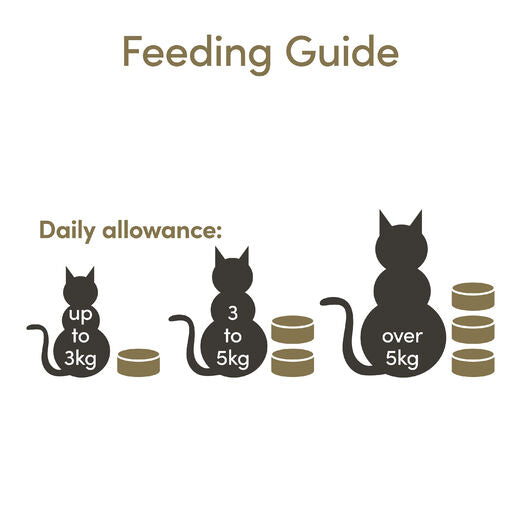 Applaws Kissa Senior tonnikala & sardiini hyytelössä purkki 24 x 70 g