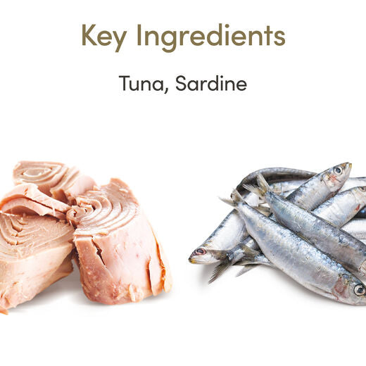 Applaws Kissa Senior tonnikala & sardiini hyytelössä purkki 24 x 70 g