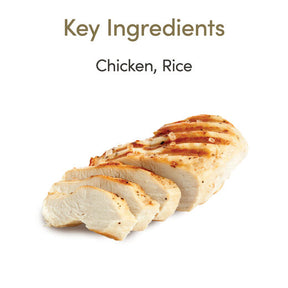 Applaws Kissa Senior kana hyytelössä purkki 24 x 70 g