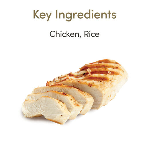 Applaws Kissa Senior kana hyytelössä purkki 24 x 70 g