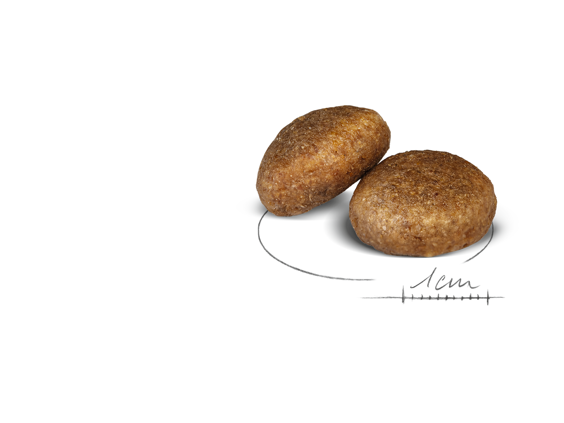 Royal Canin Maxi Adult koiran kuivaruoka 4 kg