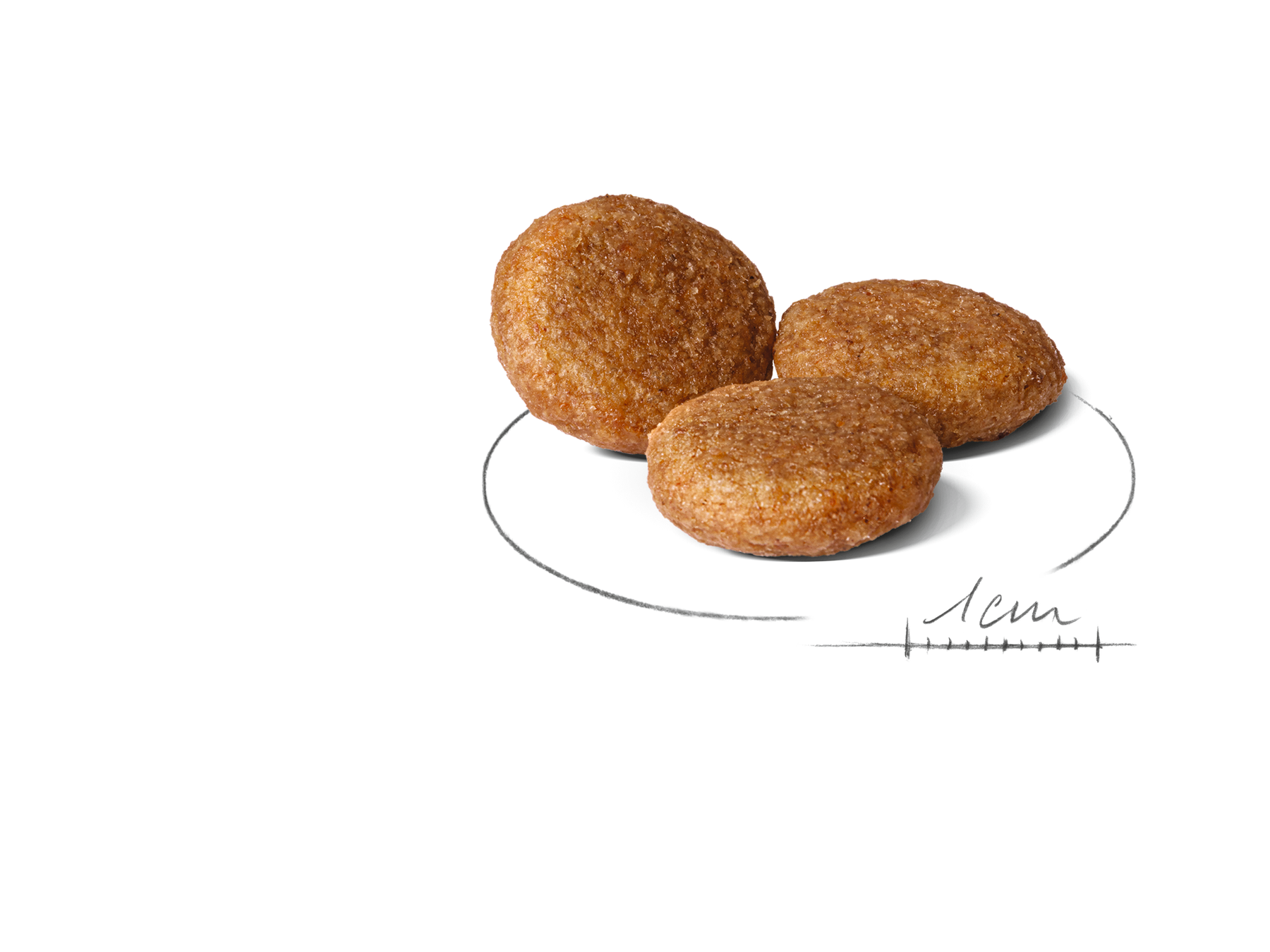 Royal Canin Medium Adult koiralle 15 kg