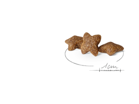 Royal Canin Mini Adult koiralle