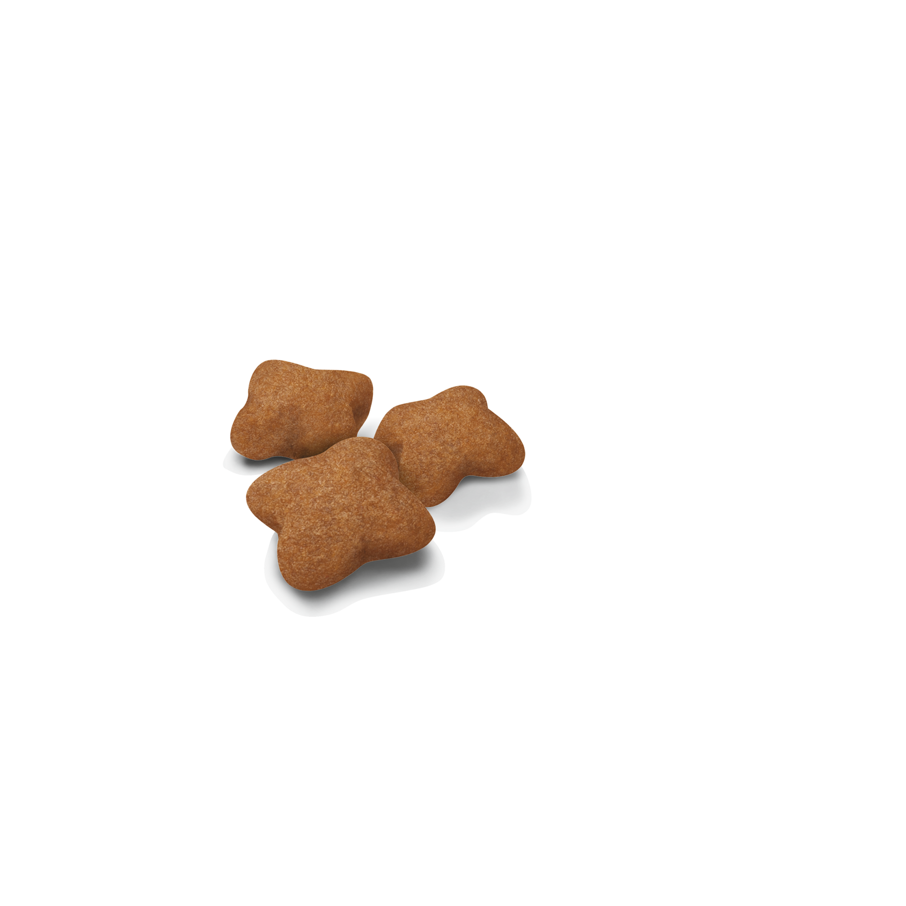 Royal Canin Kitten Sterilised kissalle 2 kg
