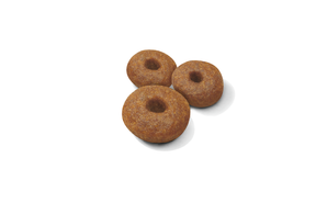 Royal Canin Maxi Starter koiralle 15 kg