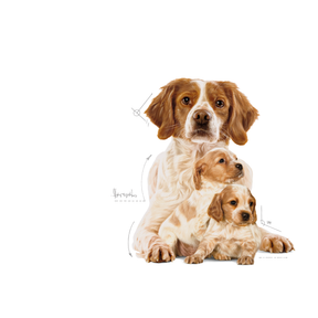 Royal Canin Medium Starter koiralle 15 kg