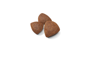 Royal Canin Medium Starter koiralle 15 kg