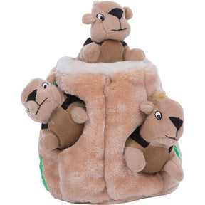 Outward Hound Hide-A-Squirrel koiralle