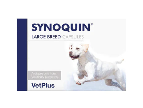 Synoquin Large Breed koiralle 30 kapselia