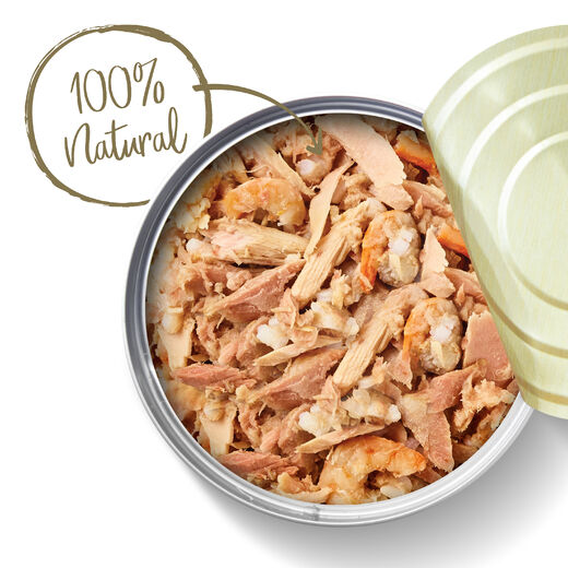 Applaws Kissa Tonnikalafile & Katkarapu purkki 24 x 70 g