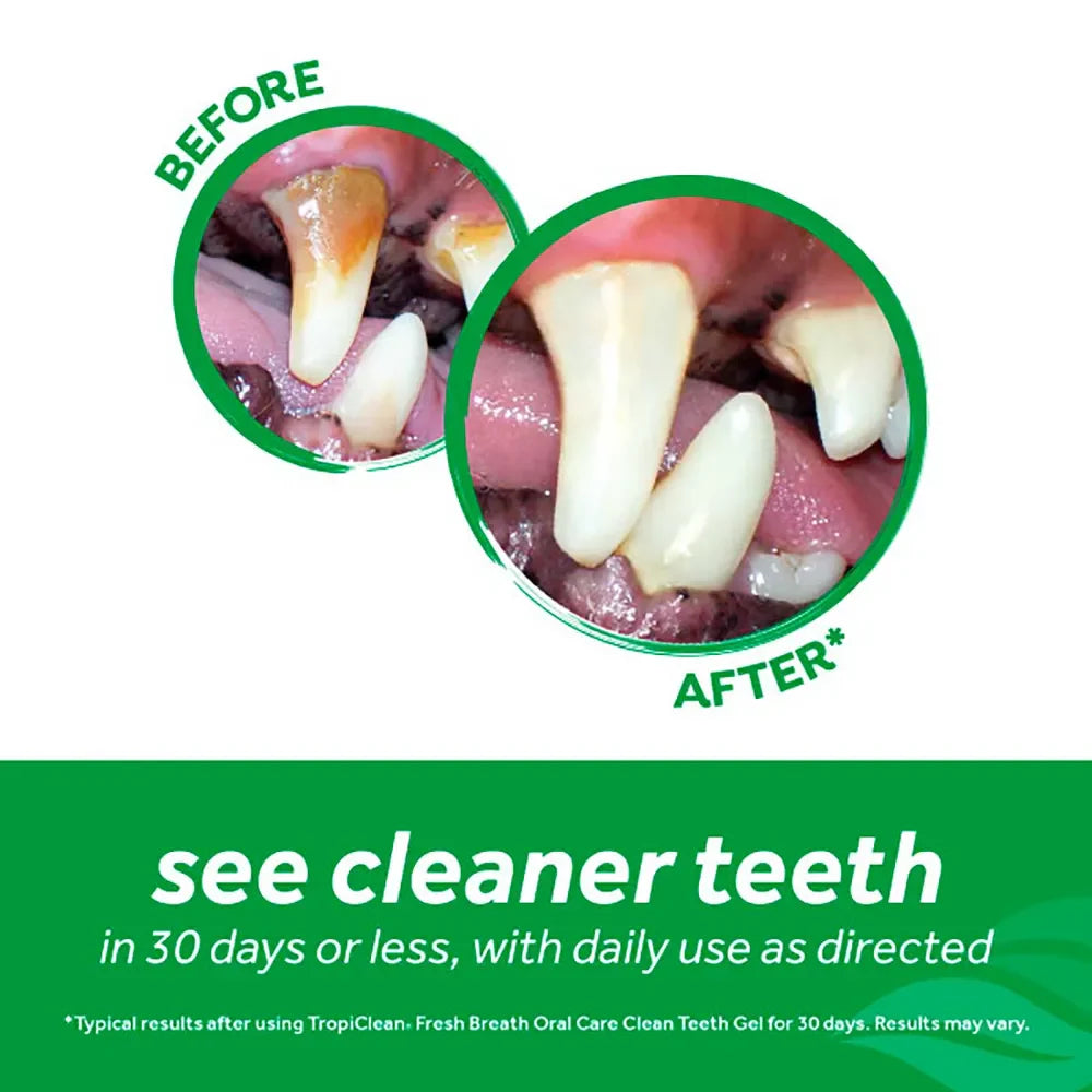 Tropiclean Clean teeth oral gel koirille