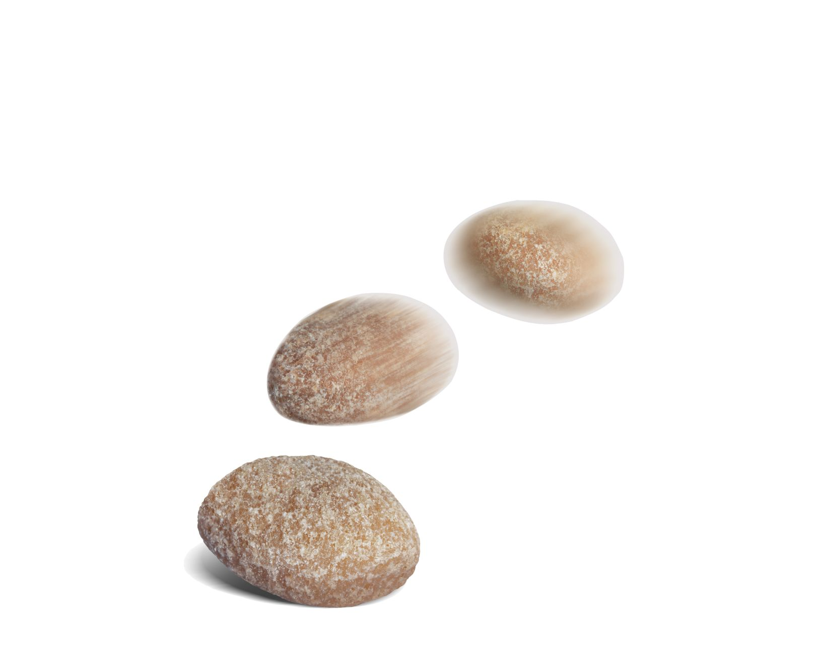 Royal Canin Hypoallergenic Treats koiralle 230 g