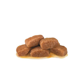 Royal Canin Veterinary Diets Gastrointestinal Fibre Response Chunks in Gravy Pouch kissan märkäruoka 85 g MAISTELUPAKKAUS