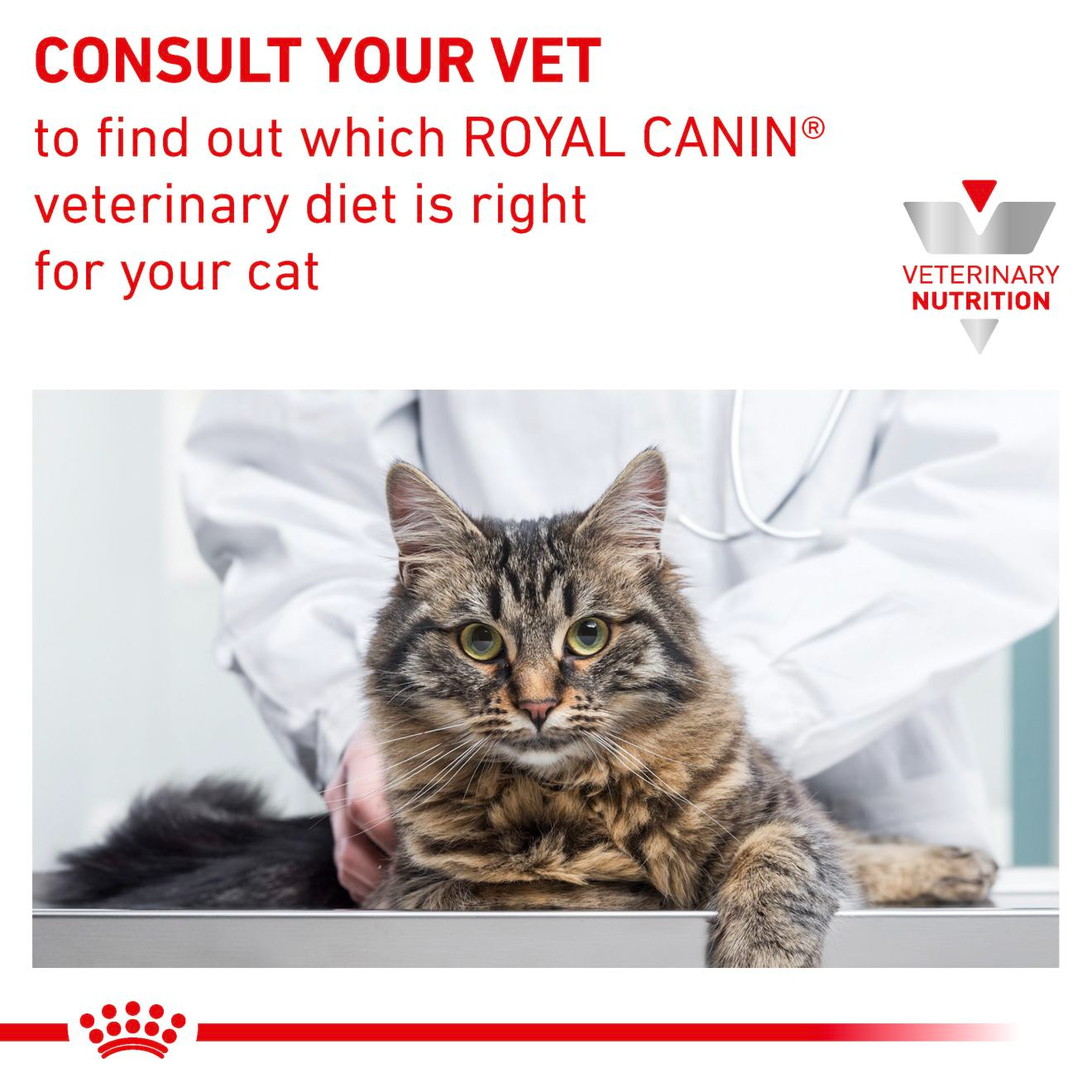 Royal Canin Veterinary Diets Gastrointestinal Moderate Calorie Slices In Gravy kissan märkäruoka 12 x 85 g