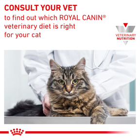 Royal Canin Veterinary Diets Gastrointestinal Moderate Calorie Slices In Gravy kissan märkäruoka 12 x 85 g