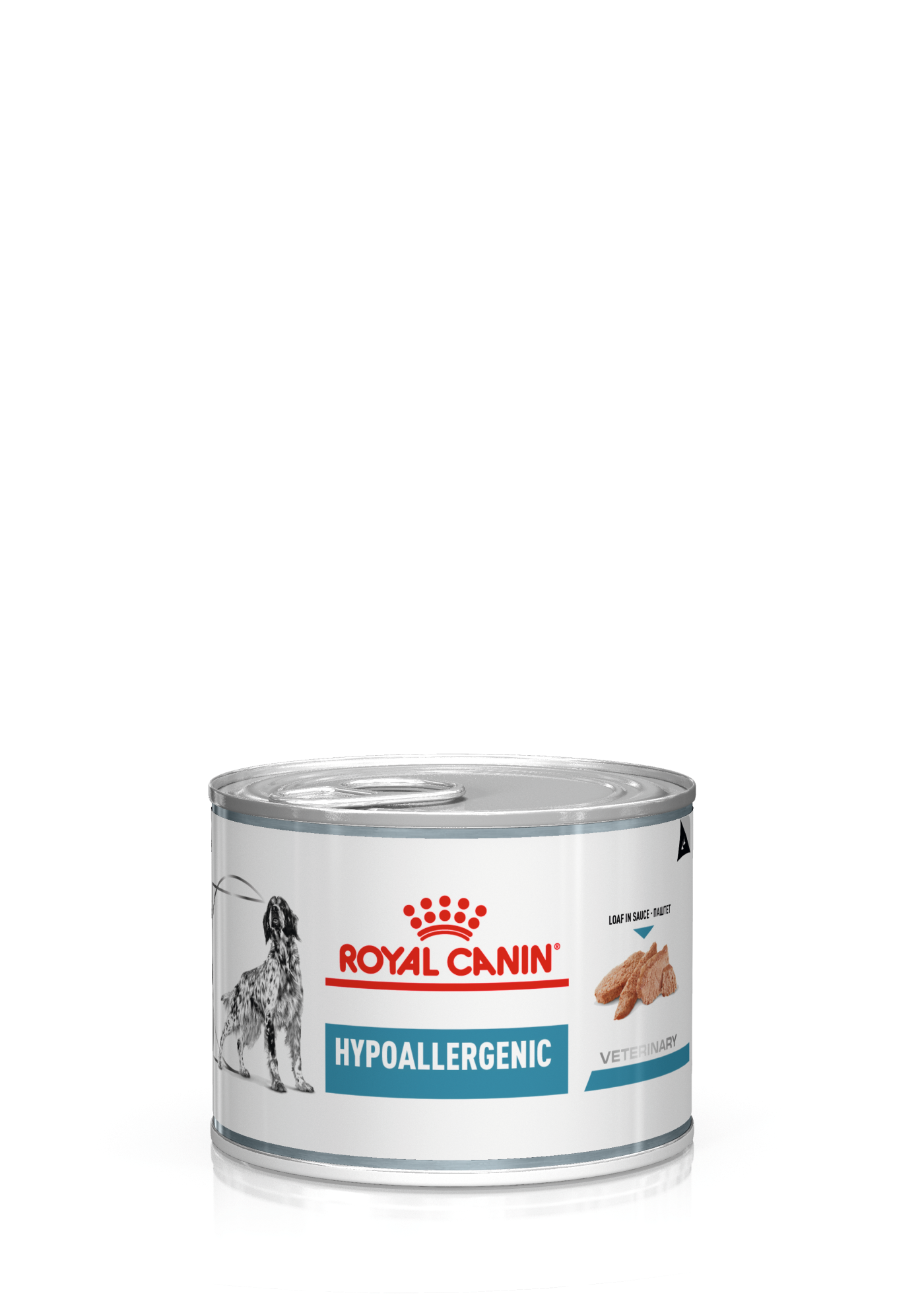 Royal Canin Veterinary Diets Derma Hypoallergenic Loaf säilykepurkki koiran märkäruoka 200 g MAISTELUPAKKAUS