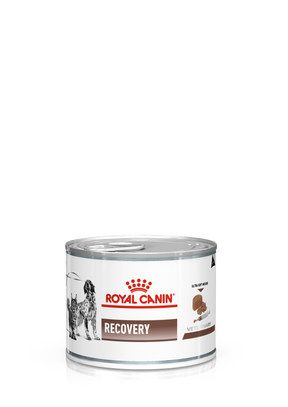 Royal Canin Veterinary Diets Gastrointestinal Recovery Ultra Soft Mousse säilykepurkki kissoille ja koirille märkäruoka 195 g MAISTELUPAKKAUS