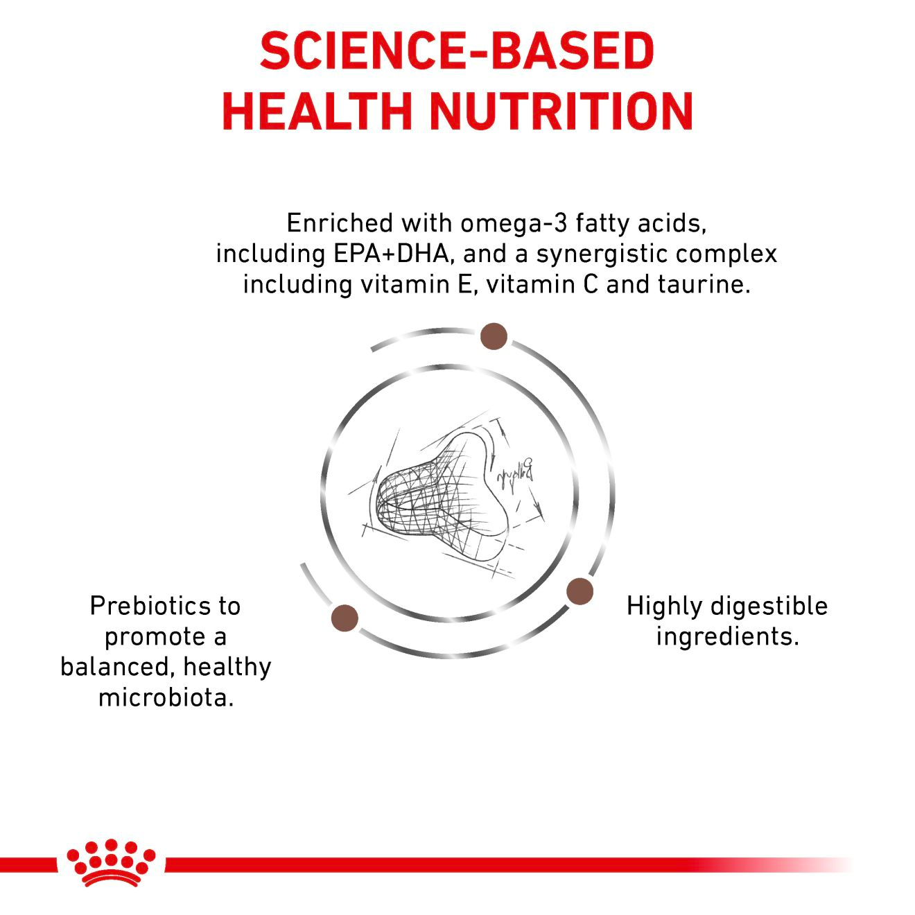 Royal Canin Veterinary Diets Gastrointestinal Fibre Response kissan kuivaruoka 2 kg