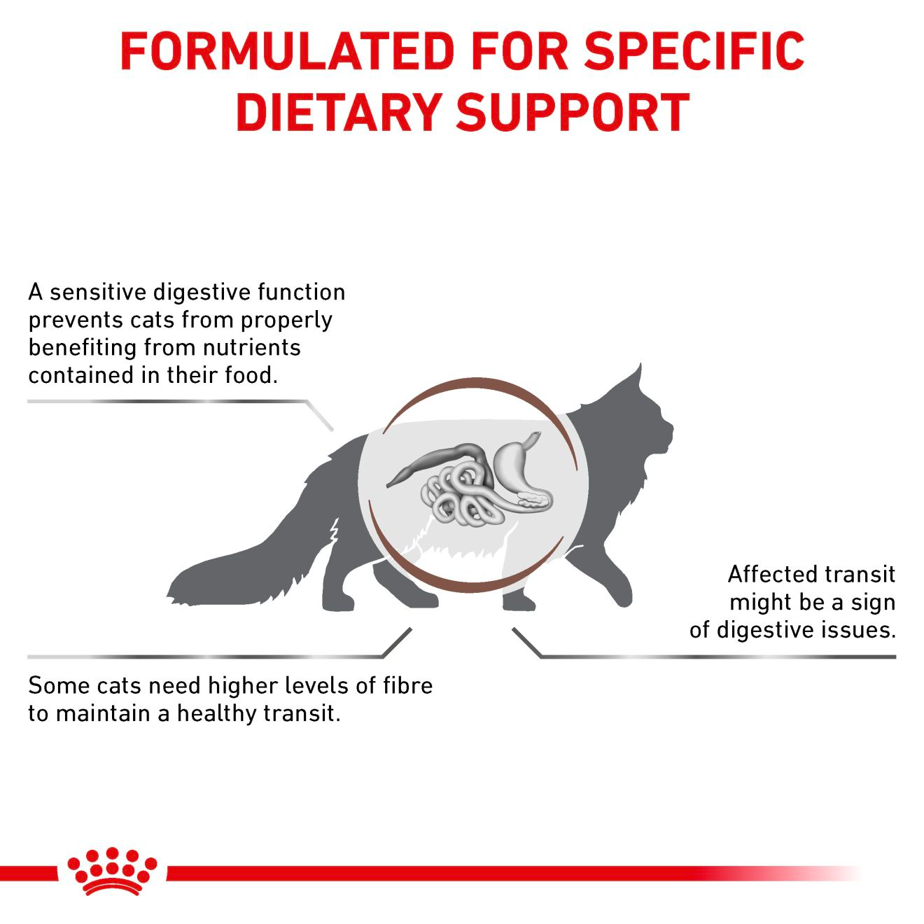 Royal Canin Veterinary Diets Gastrointestinal Fibre Response kissan kuivaruoka 2 kg