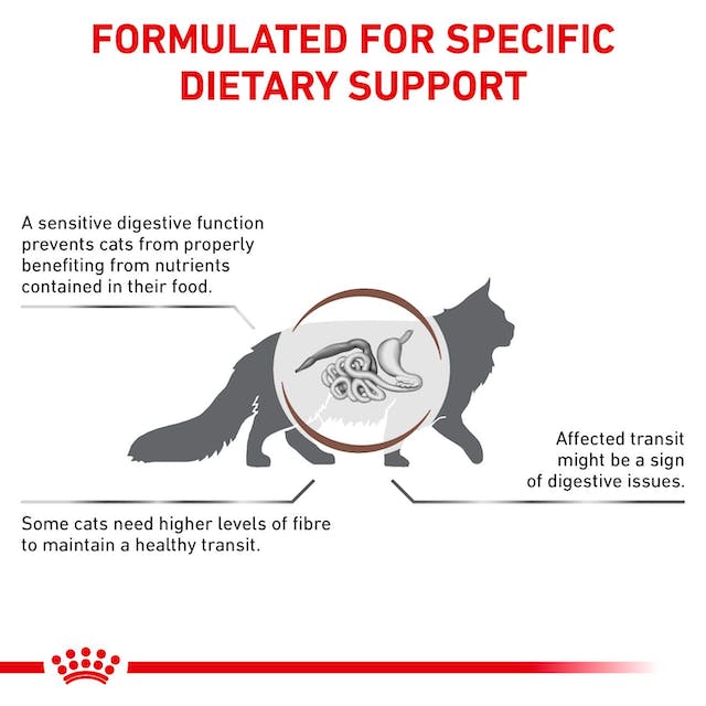 Royal Canin Veterinary Diets Gastrointestinal Fibre Response Chunks in Gravy Pouch kissan märkäruoka 48 x 85 g SÄÄSTÖPAKKAUS