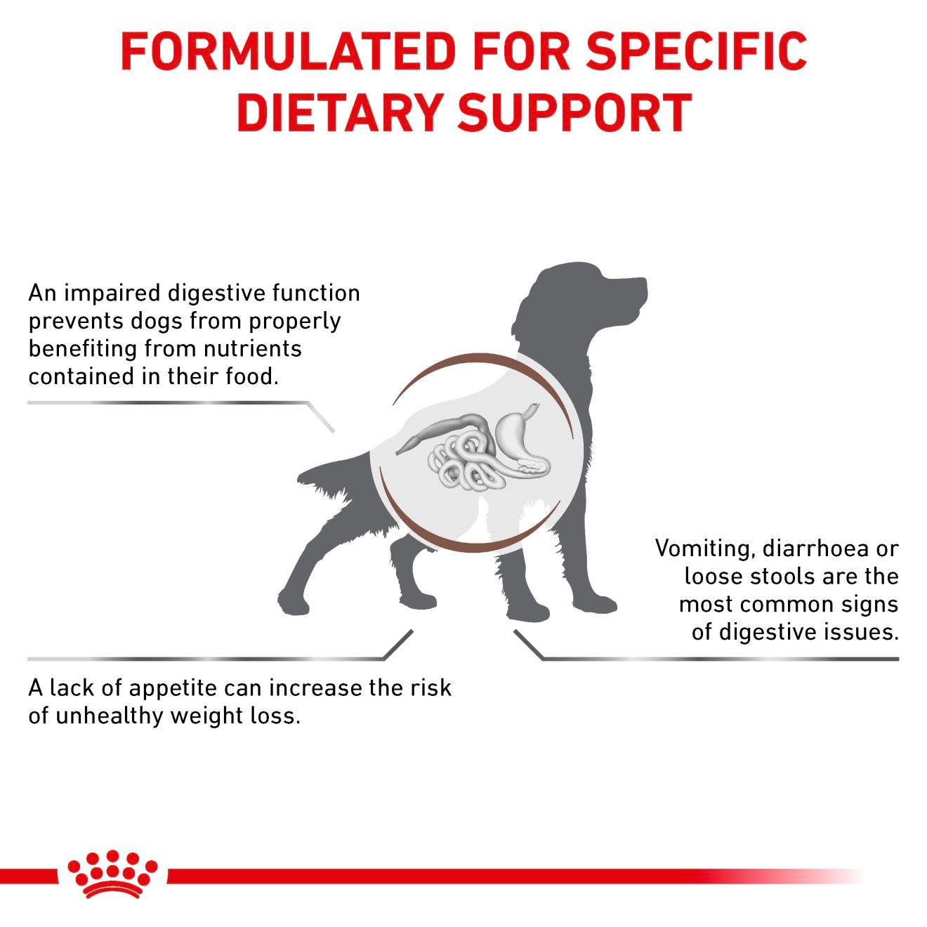 Royal Canin Veterinary Diets Gastrointestinal koiran kuivaruoka 2 x 15 kg TUPLAPAKKAUS