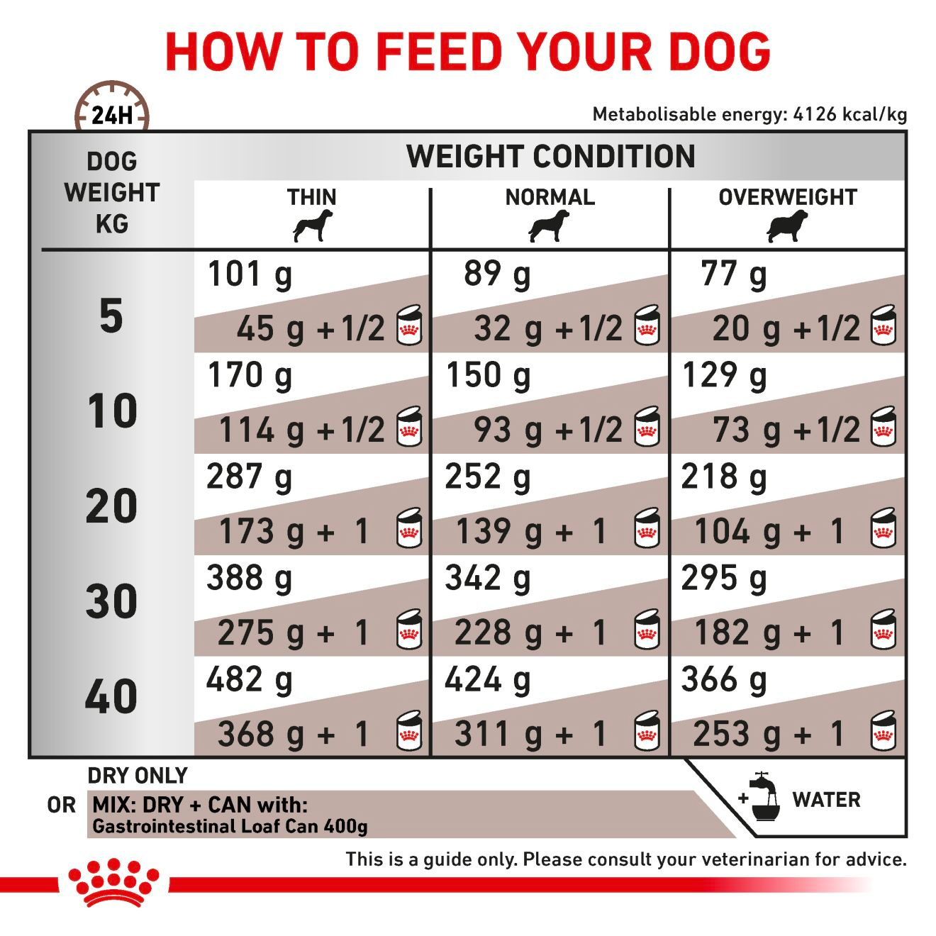 Royal Canin Veterinary Diets Gastrointestinal koiran kuivaruoka 2 x 15 kg TUPLAPAKKAUS