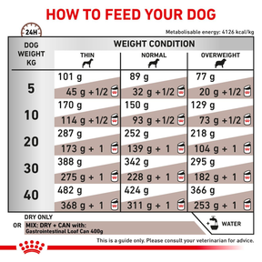 Royal Canin Veterinary Diets Gastrointestinal koiran kuivaruoka 2 x 15 kg TUPLAPAKKAUS