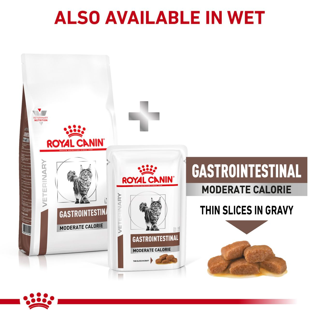 Royal Canin Veterinary Diets Gastrointestinal Moderate Calorie kissan kuivaruoka 4 kg