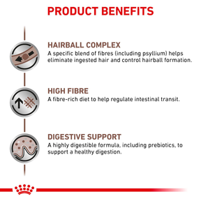 Royal Canin Veterinary Diets Gastrointestinal Hairball kissan kuivaruoka