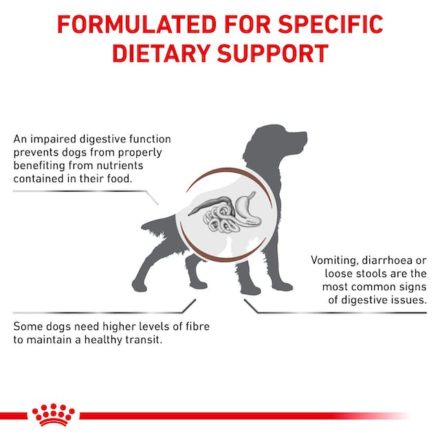 Royal Canin Veterinary Diets Gastrointestinal High Fibre Loaf säilykepurkki koiran märkäruoka 410 g MAISTELUPAKKAUS