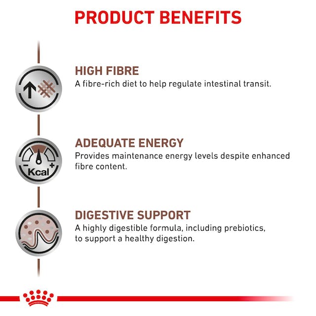Royal Canin Veterinary Diets Gastrointestinal High Fibre säilykepurkki koiran märkäruoka 12 x 200 g