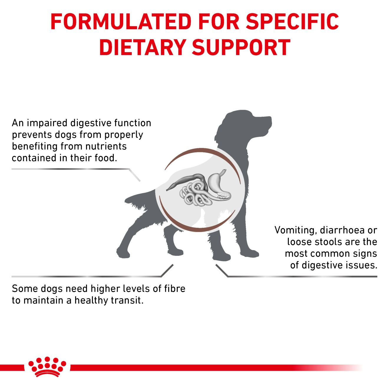 Royal Canin Veterinary Diets Gastrointestinal High Fibre koiran kuivaruoka 14 kg