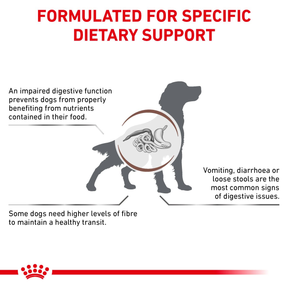 Royal Canin Veterinary Diets Gastrointestinal High Fibre koiran kuivaruoka 14 kg