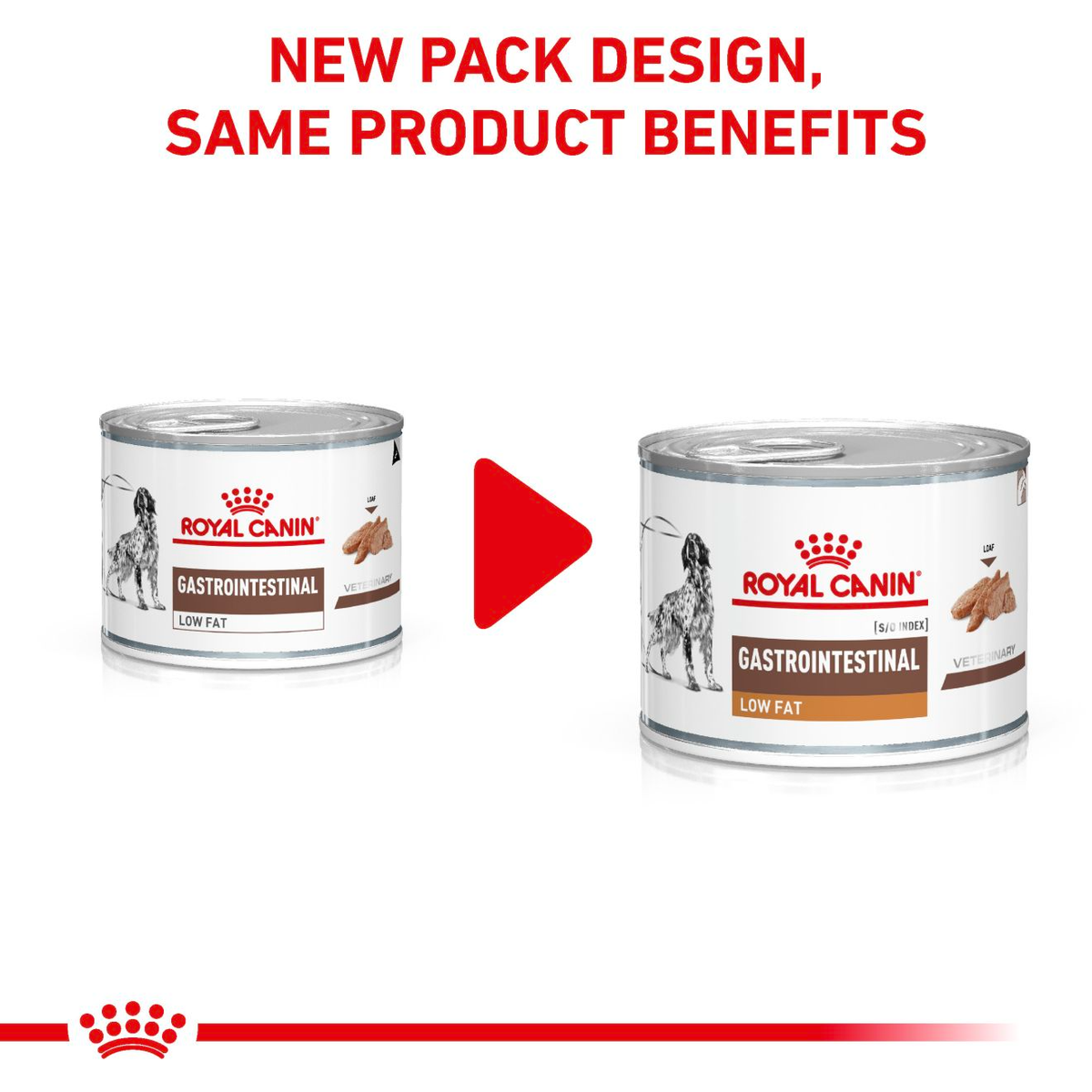Royal Canin Veterinary Diets Gastrointestinal Low Fat Loaf säilykepurkki koiran märkäruoka 200 g MAISTELUPAKKAUS