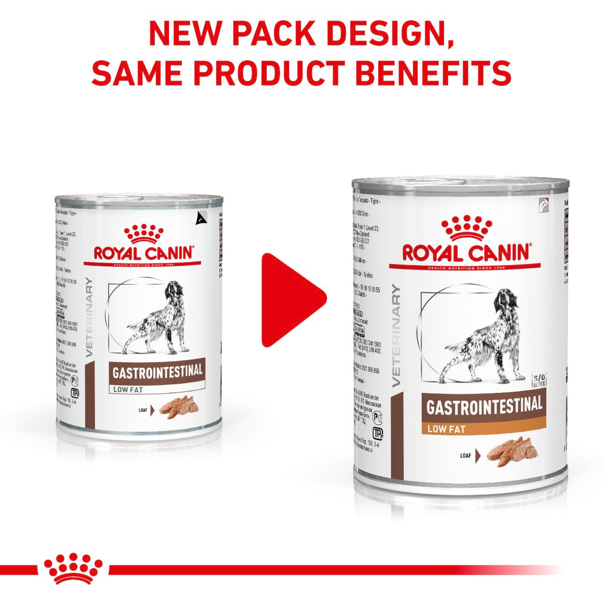 Royal Canin Veterinary Diets Gastrointestinal Low Fat Loaf säilykepurkki koiran märkäruoka 200 g MAISTELUPAKKAUS