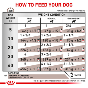 Royal Canin Veterinary Diets Gastrointestinal Low Fat Loaf säilykepurkki koiran märkäruoka 200 g MAISTELUPAKKAUS