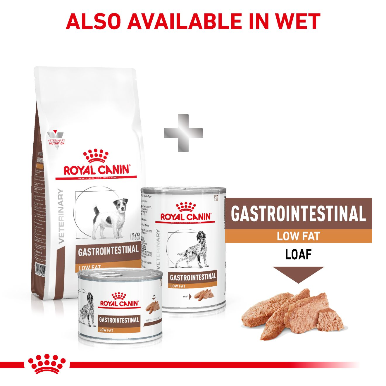 Royal Canin Veterinary Diets Gastrointestinal Low Fat Small Dogs koiran kuivaruoka