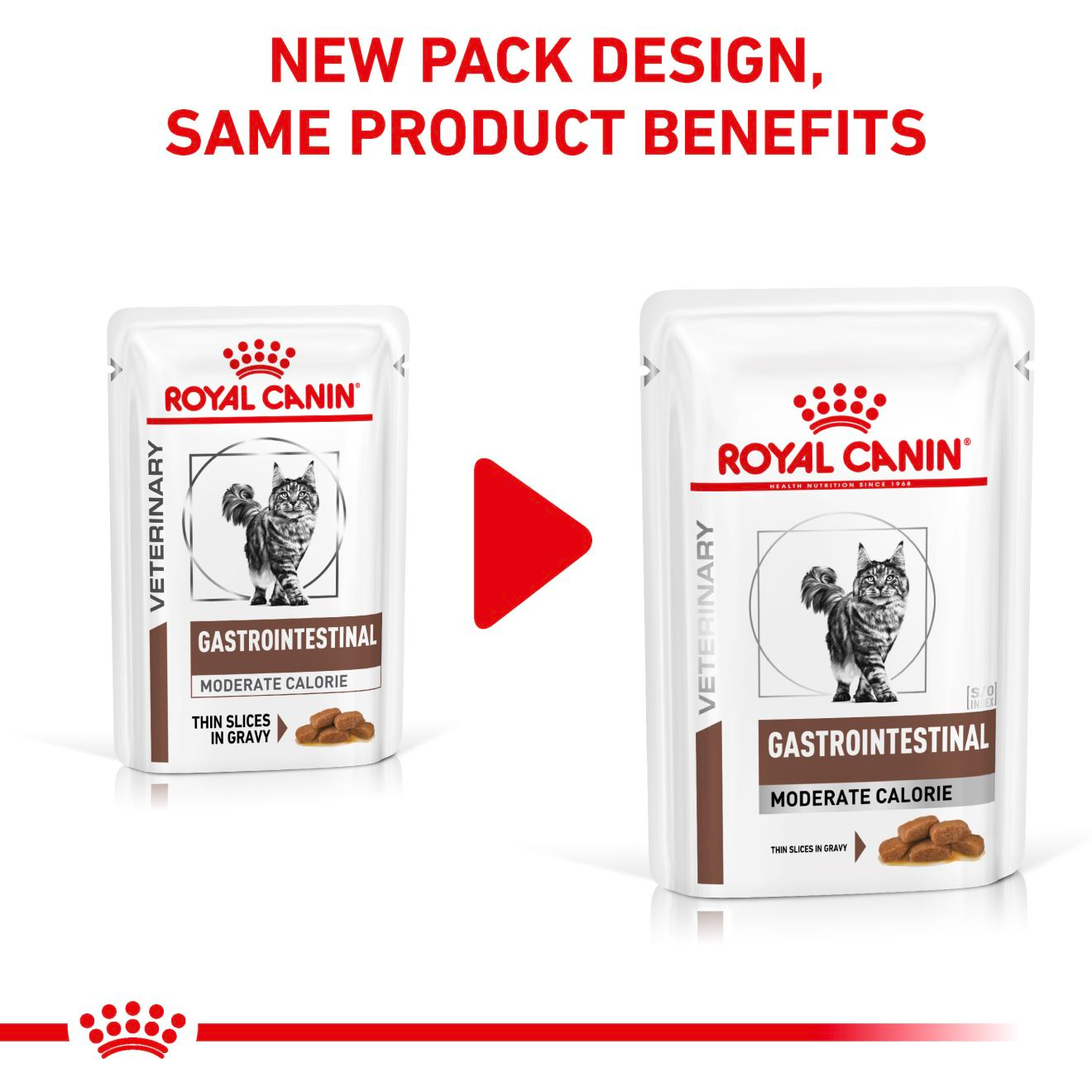 Royal Canin Veterinary Diets Gastrointestinal Moderate Calorie Slices In Gravy kissan märkäruoka 12 x 85 g