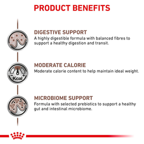 Royal Canin Veterinary Diets Gastrointestinal Moderate Calorie Slices In Gravy kissan märkäruoka 12 x 85 g