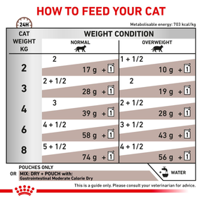 Royal Canin Veterinary Diets Gastrointestinal Moderate Calorie Slices In Gravy kissan märkäruoka 12 x 85 g