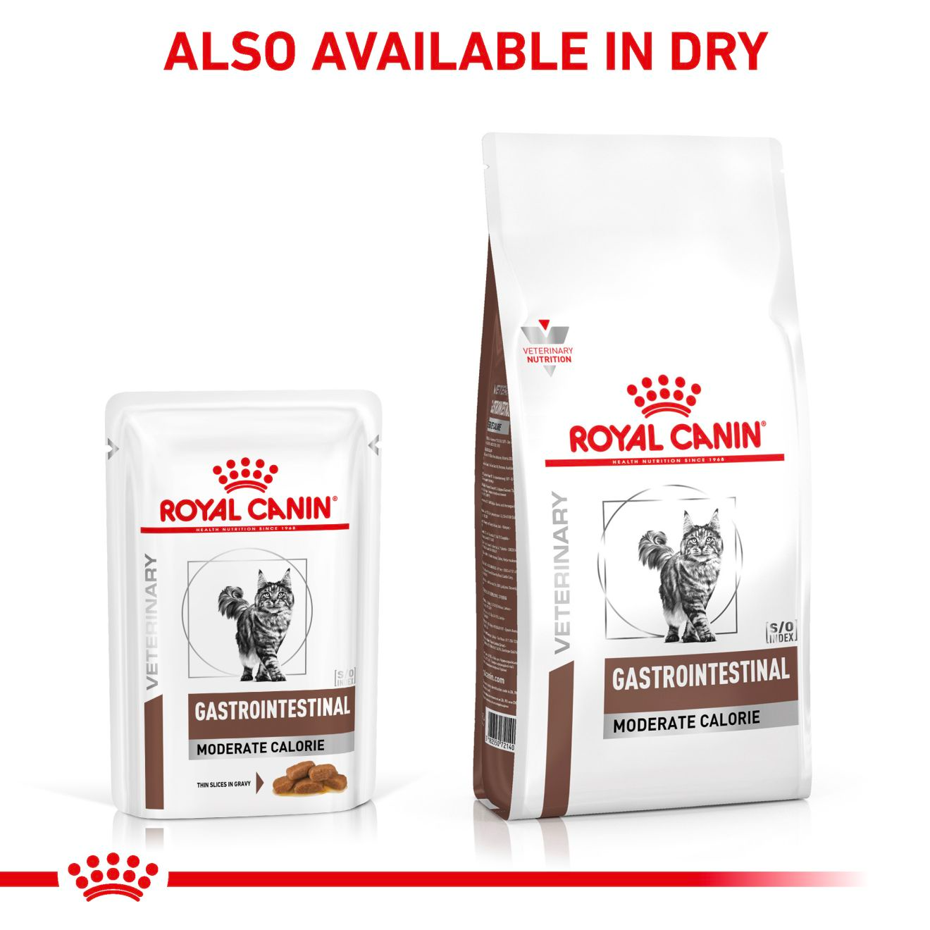 Royal Canin Veterinary Diets Gastrointestinal Moderate Calorie Slices In Gravy kissan märkäruoka 12 x 85 g