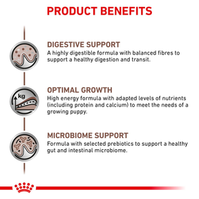 Royal Canin Veterinary Diets Gastrointestinal Puppy koiran kuivaruoka