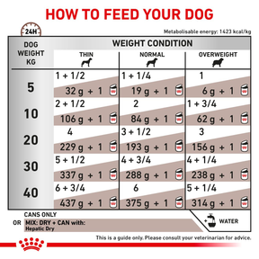 Royal Canin Veterinary Diets Gastrointestinal Hepatic Loaf säilykepurkki koiran märkäruoka 420 g MAISTELUPAKKAUS