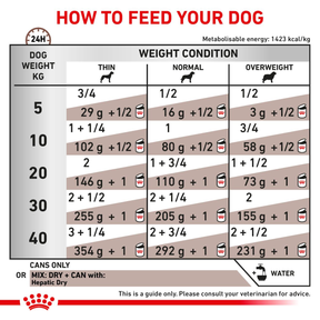 Royal Canin Veterinary Diets Gastrointestinal Hepatic Loaf säilykepurkki koiran märkäruoka 420 g MAISTELUPAKKAUS