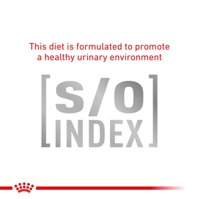 Royal Canin Veterinary Diets Gastrointestinal Moderate Calorie kissan kuivaruoka 2 kg