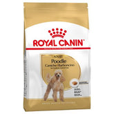 Royal Canin Poodle Adult koiralle
