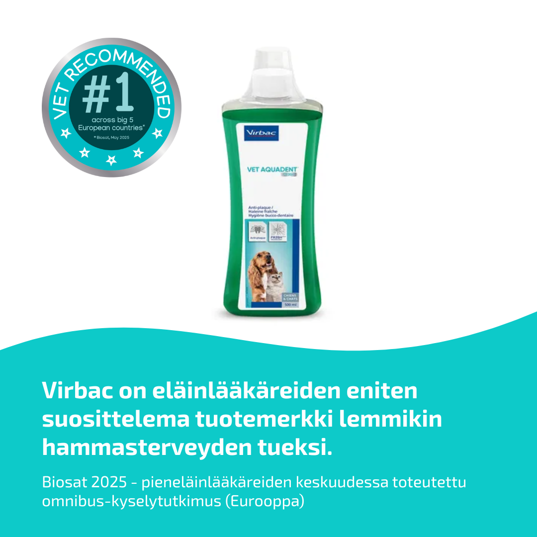 Vet Aquadent FR3SH liuos kissalle ja koiralle 500 ml